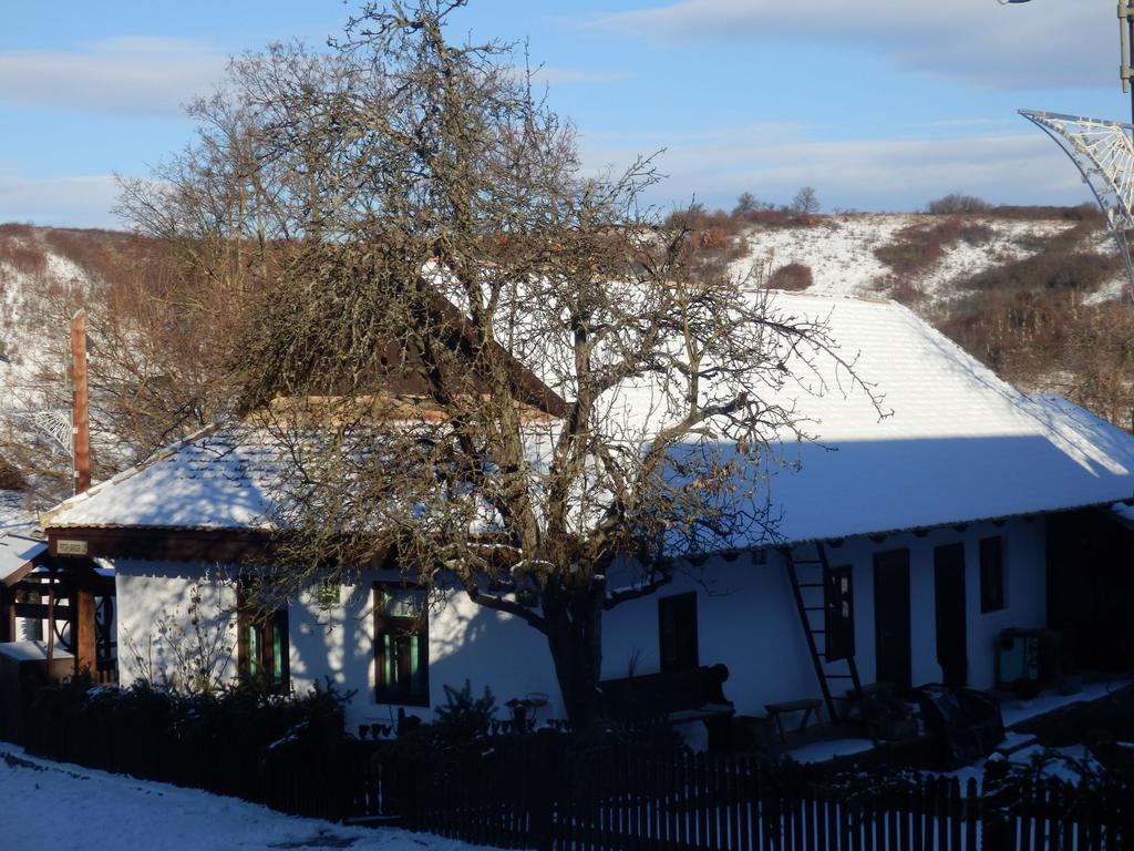 Nefelejcs Vendégház Hollókő Apartamento Exterior foto